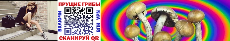 Галлюциногенные грибы Magic Shrooms Губкинский